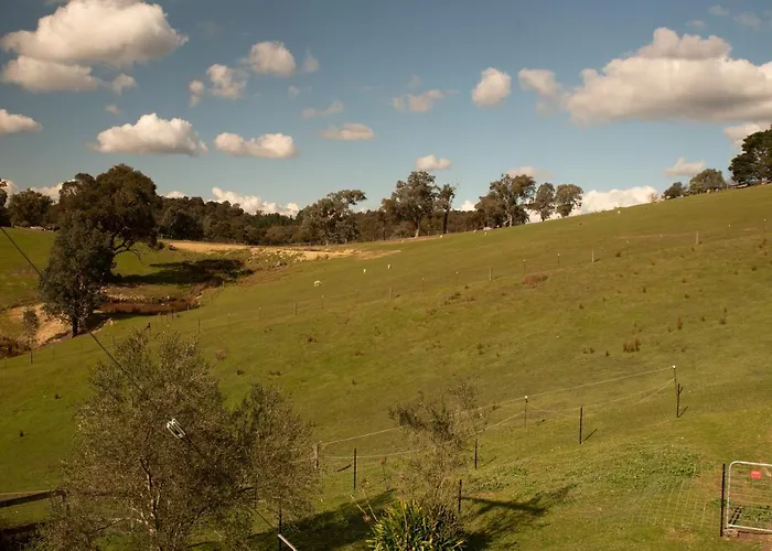 The Views!Lovely Apartment On Acreage With Magnificent Views, Dog Friendly