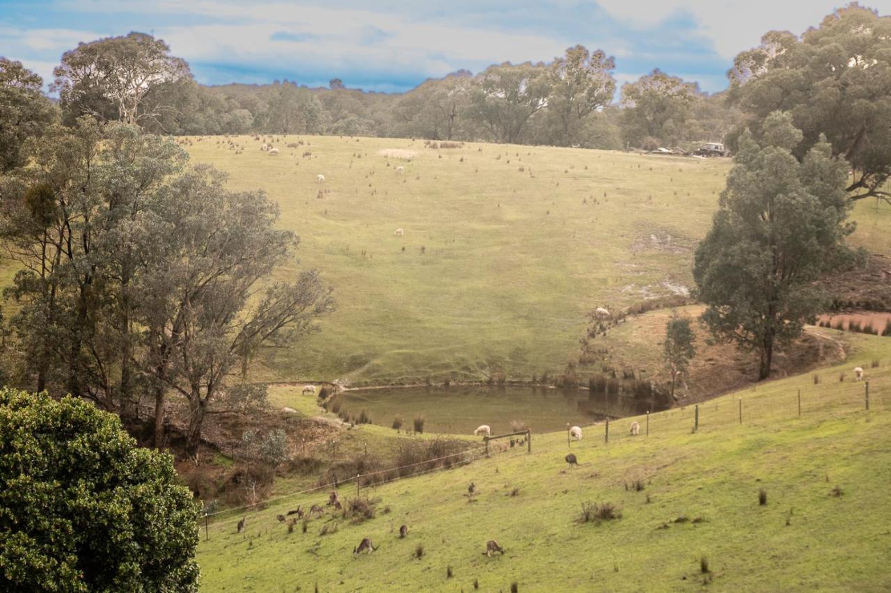 The Views!lovely On Acreage With Magnificent Views, Dog Friendly * Panton Hill
