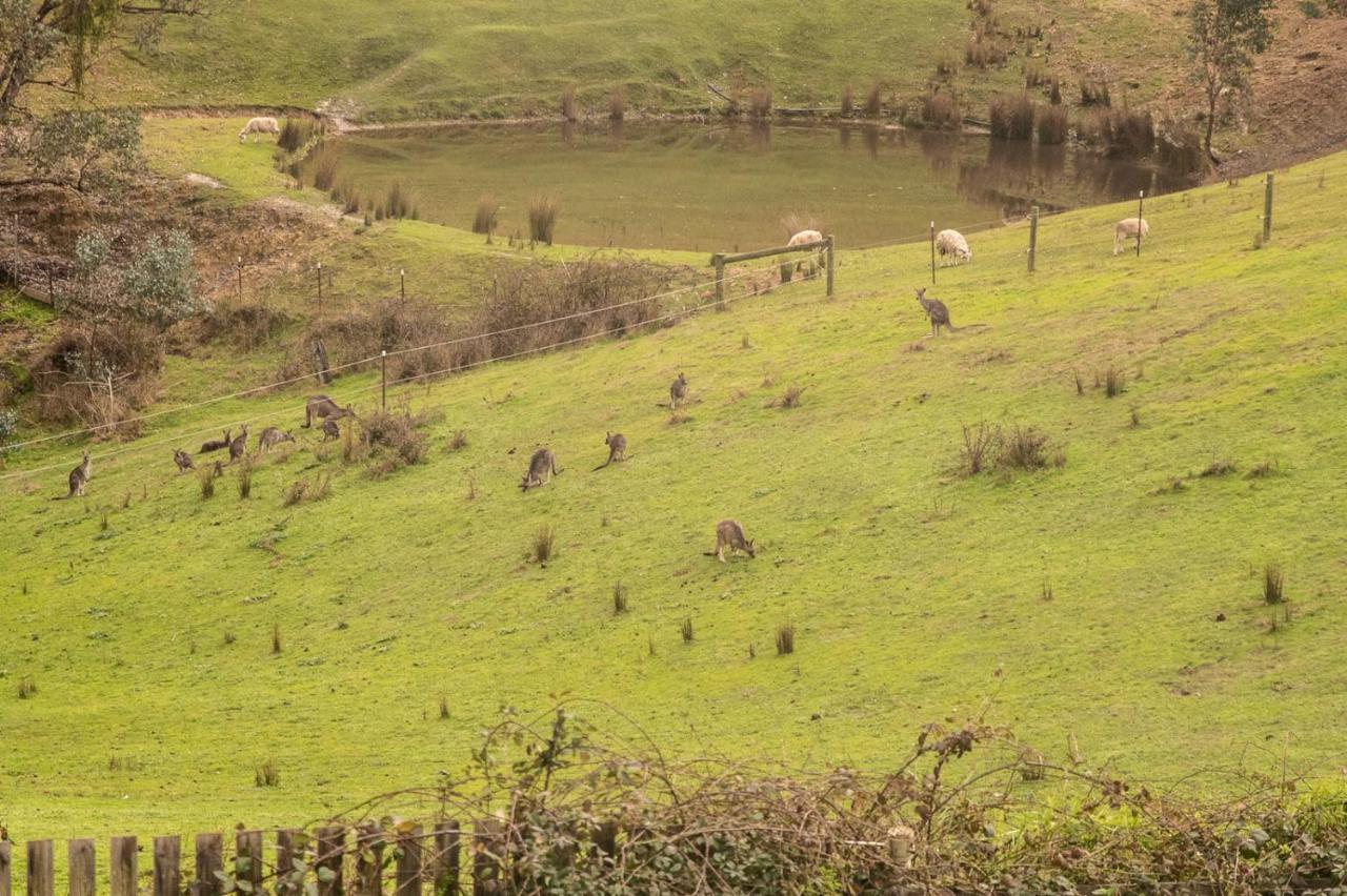The Views!lovely On Acreage With Magnificent Views, Dog Friendly Apartment Panton Hill