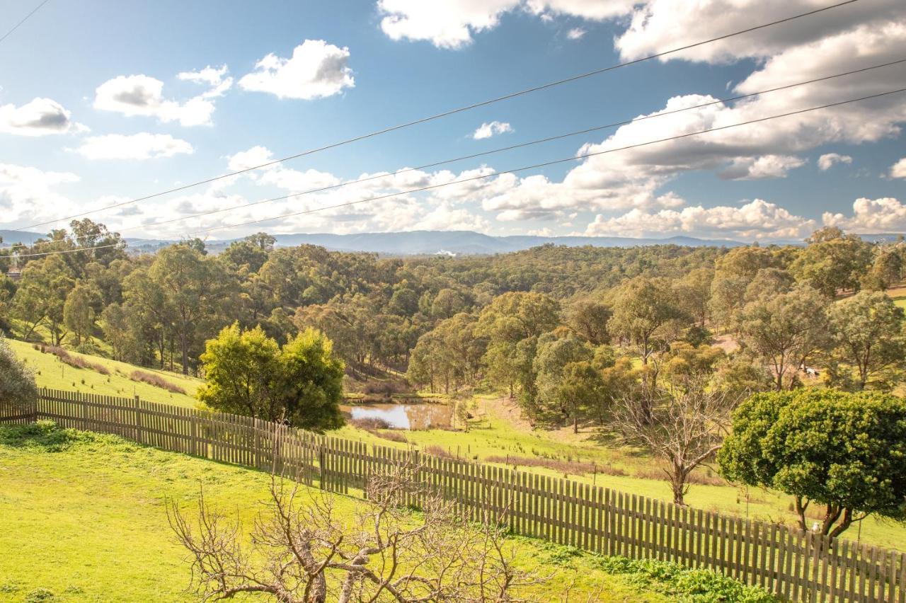 The Views!lovely On Acreage With Magnificent Views, Dog Friendly Apartment *