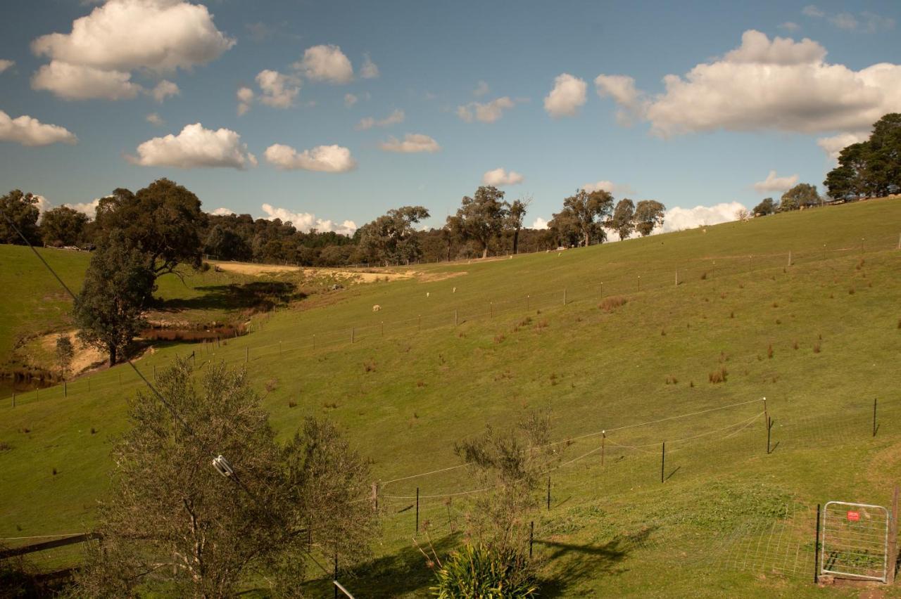 The Views!lovely On Acreage With Magnificent Views, Dog Friendly Apartment *